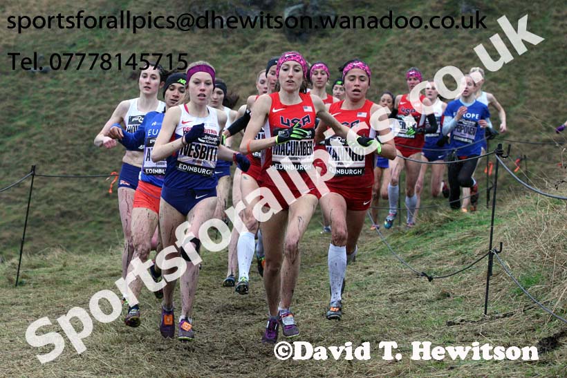 Senior womens Great Edinburgh Cross Country. Photo: David T. Hewitson/Sports for All Pics